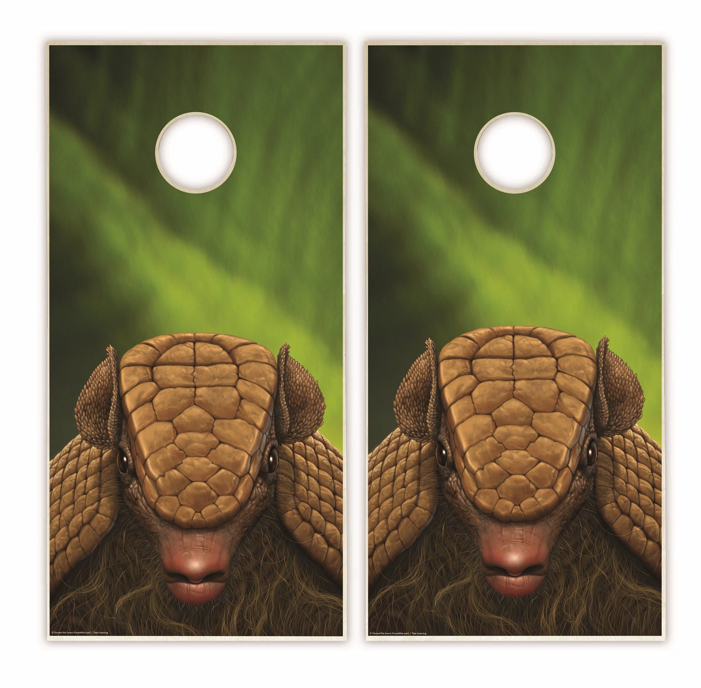 Armadillo Cornhole Boards