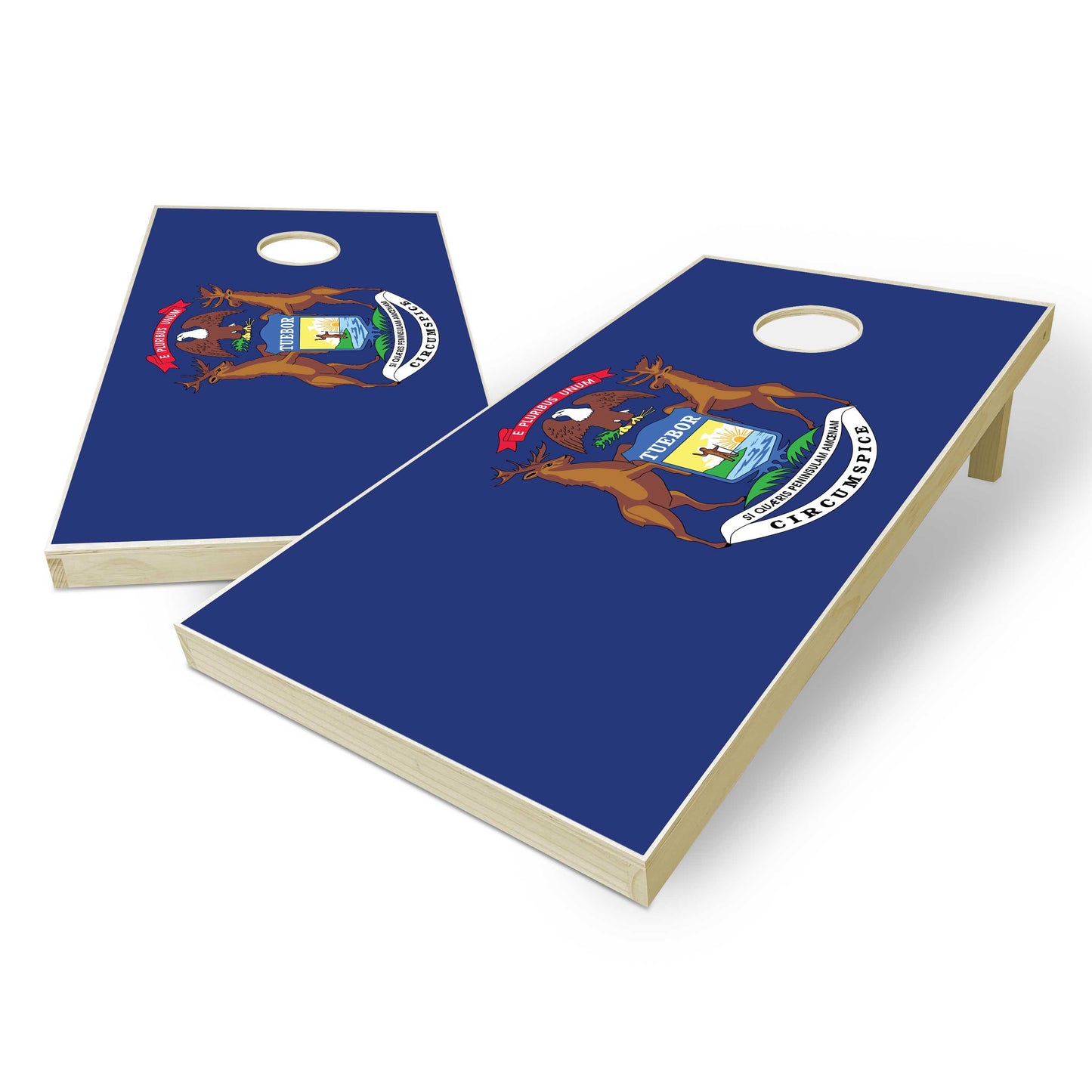 Michigan State Flag Cornhole Set